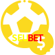 Aposte em esportes do mundo todo no SEUBET!
